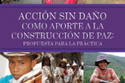 undp-accionsindano