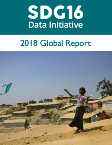 SDG 16 Data Initiative