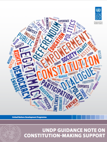 constitution undp